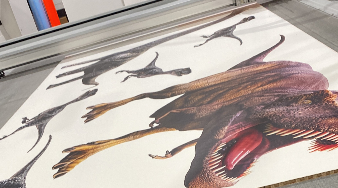 Design sem nome (19) Design sem nome (19)